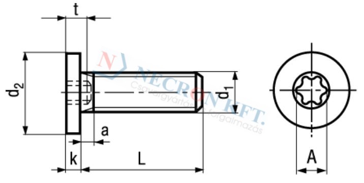 Laposfejű hengeresfejű TORX kulcsnyílású csavar 9524
